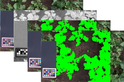 Impage processing steps photo analysis.png